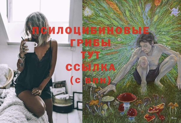 МДМА Богородицк