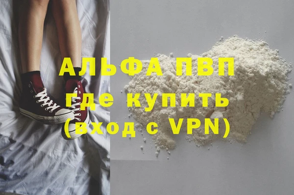 спайс Инта