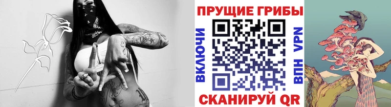 как найти закладки  Кодинск  Псилоцибиновые грибы Psilocybe 