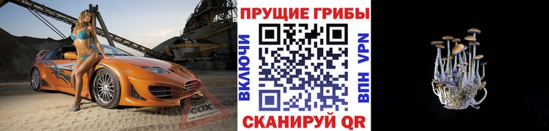 Галлюциногенные грибы Magic Shrooms Кодинск
