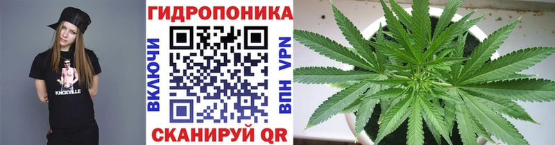 Конопля Bruce Banner  где купить наркотик  Кодинск 